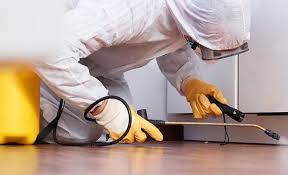 Best Residential Pest Control  in Melrose Park, NY